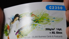 14pt Business Cards